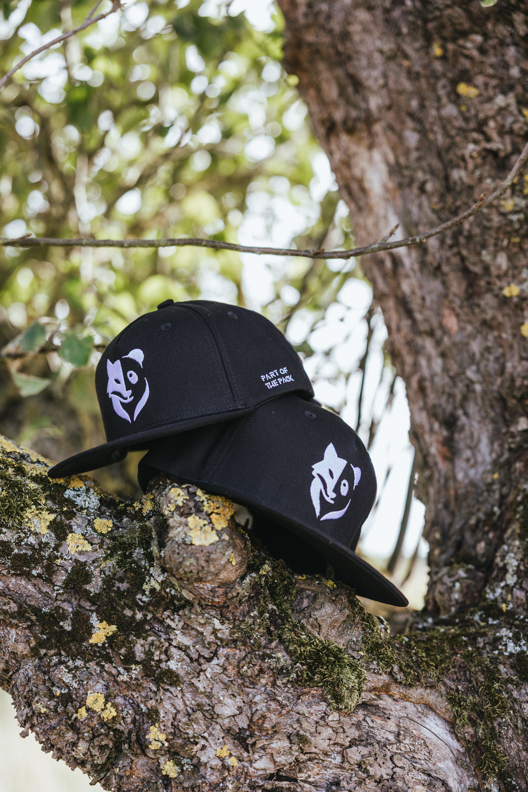 Bro-Bundle Fox+Panda Snapback Cap (2x Adults)