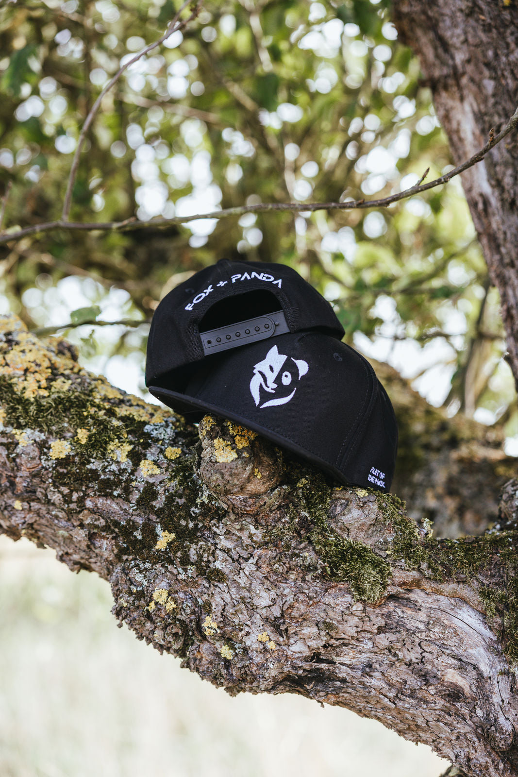 Bundle Fox+Panda Snapback Cap (Adults+Kids)