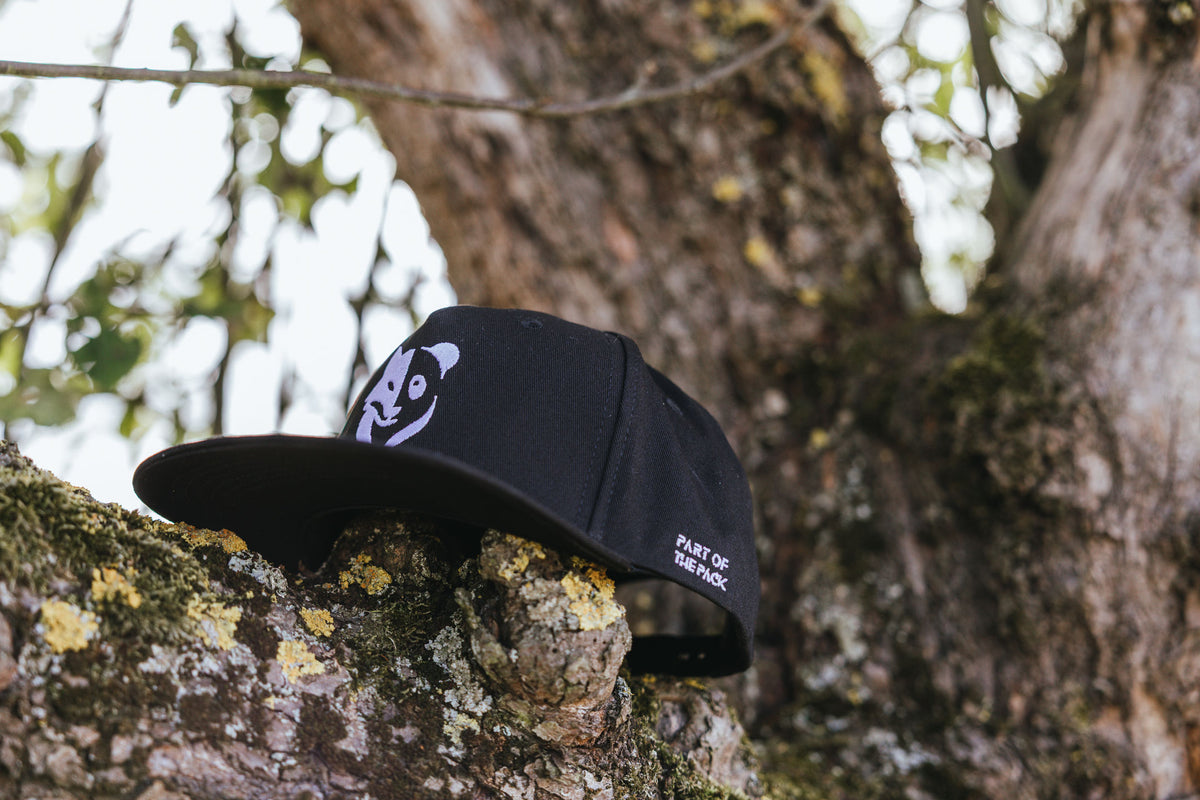 Bro-Bundle Fox+Panda Snapback Cap (2x Adults)
