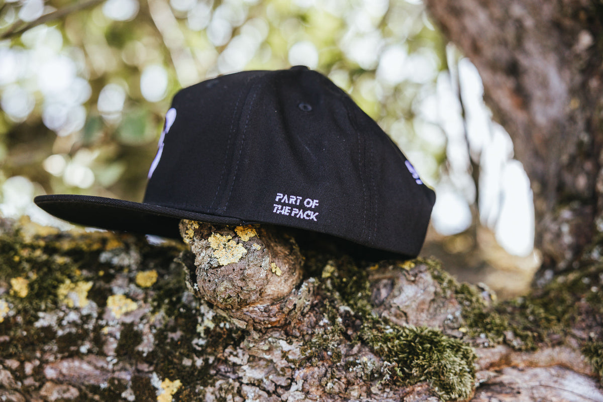 Bro-Bundle Fox+Panda Snapback Cap (2x Adults)