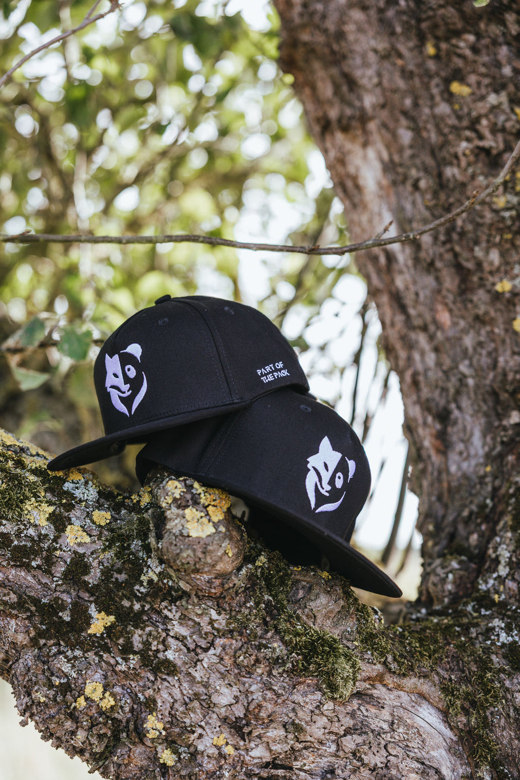 Bundle Fox+Panda Snapback Cap (Adults+Kids)