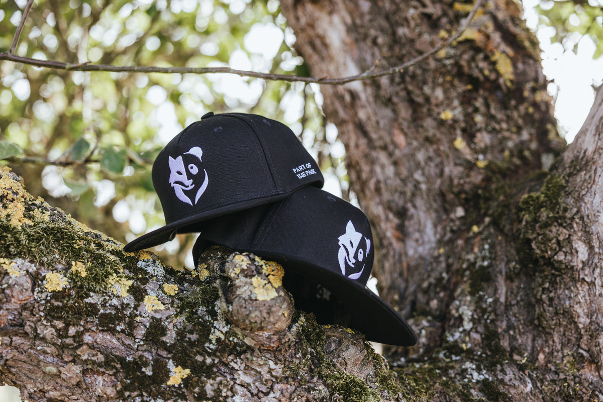 Fox+Panda Snapback Cap (Kids)