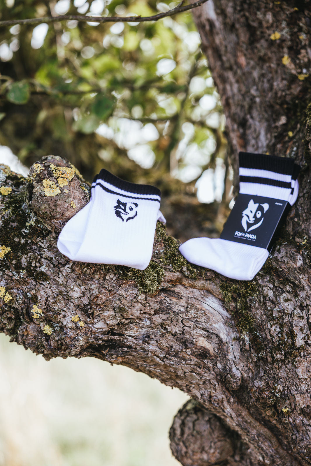 Fox+Panda Socken