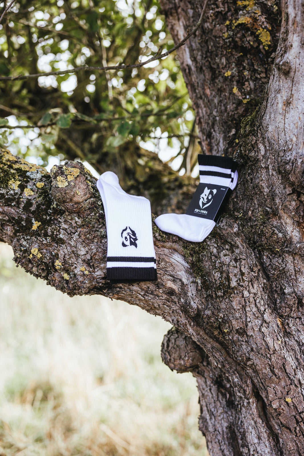 Fox+Panda Socken